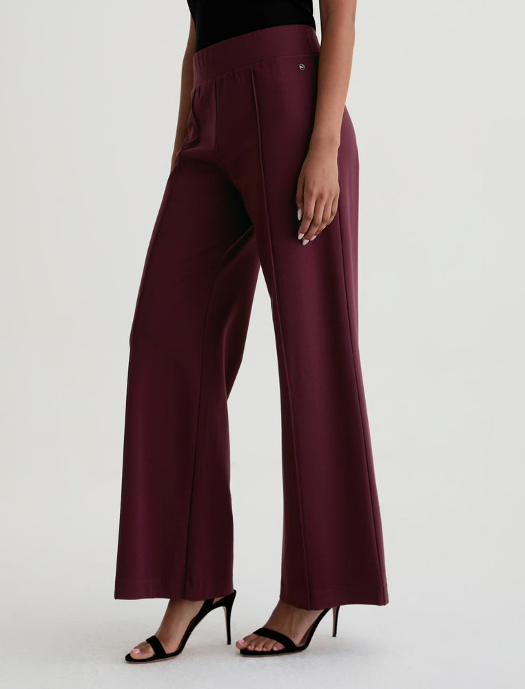 RAEGAN 360 STRETCH PULL ON BY AG JEANS FALL 25