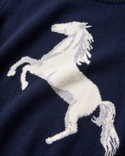 ALASHAN HORSE SWEATER