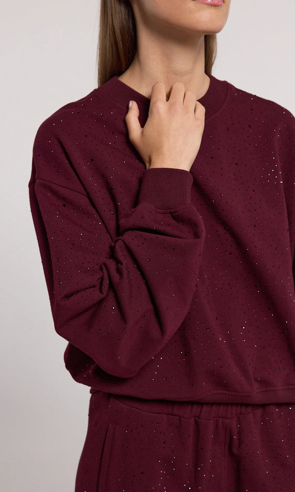 COLBY COMPACT CRYSTAL SWEATSHIRT FALL 24 HOLIDAY